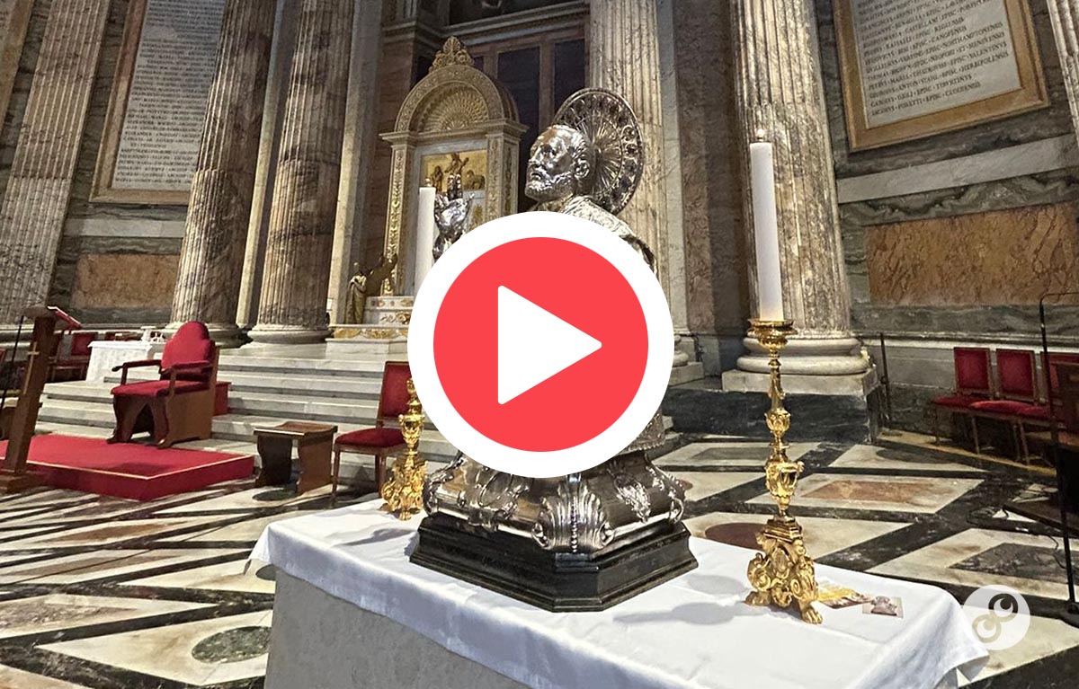 Guarda il video